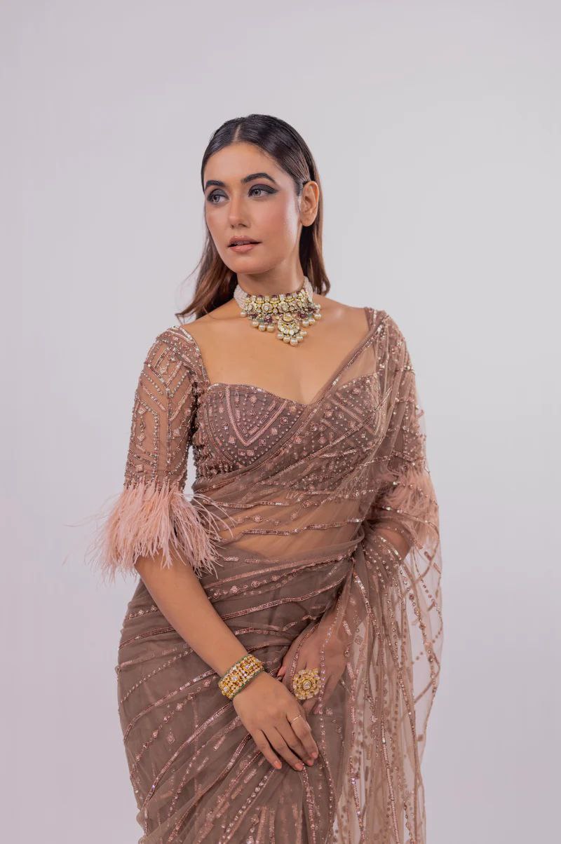 Light Brown Heavy quality Mono Net With Heavy Sequins Embroidery work Saree