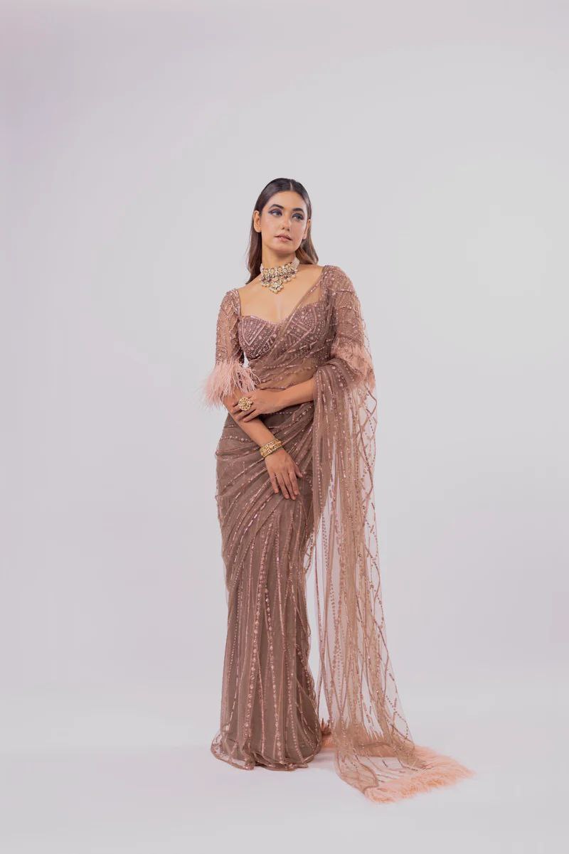 Light Brown Heavy quality Mono Net With Heavy Sequins Embroidery work Saree